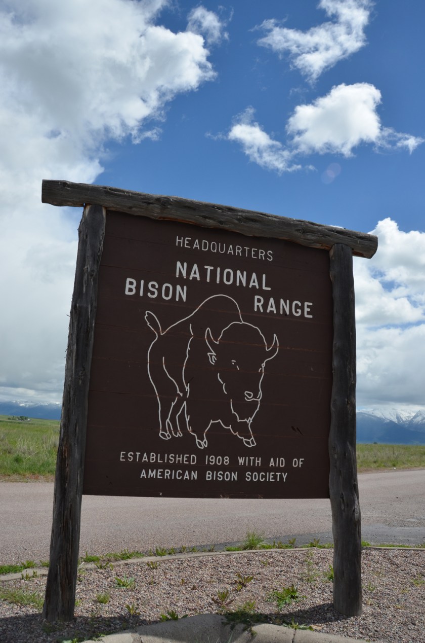 BisonRangeSign