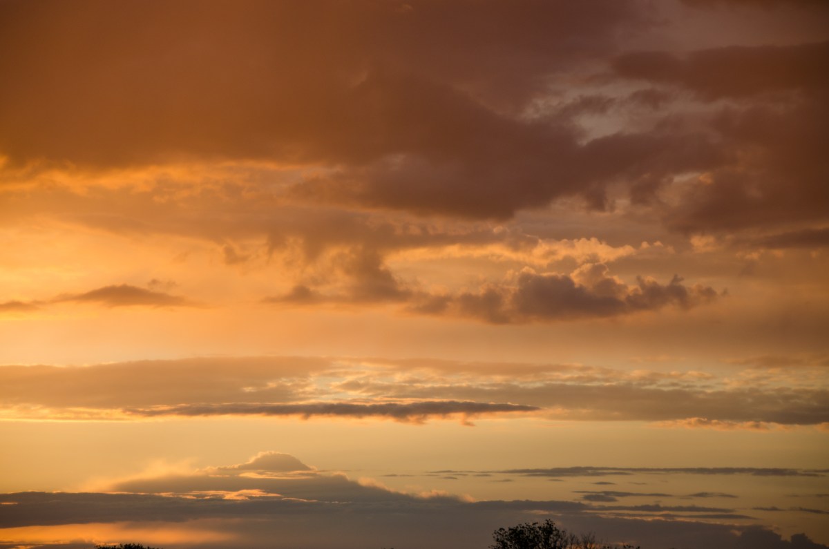 The richness of&nbsp;barrens