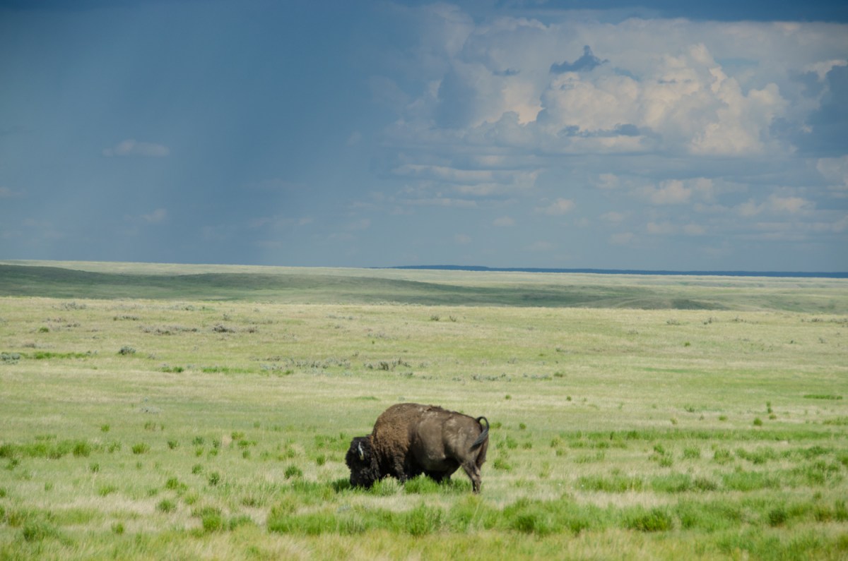 Random acts of&nbsp;travel