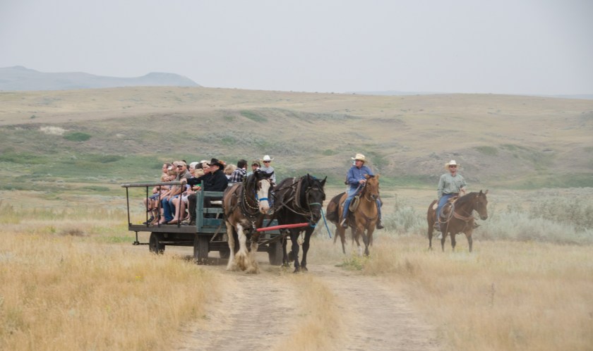 BadlandsWagonRides
