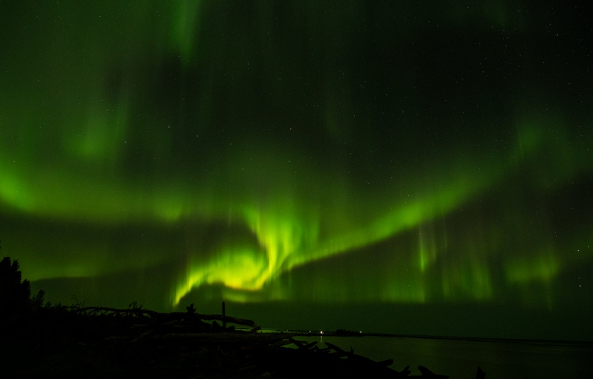 Bright green arms of the Aurora Borealis spread across the starry sky over Great Slave Lake.