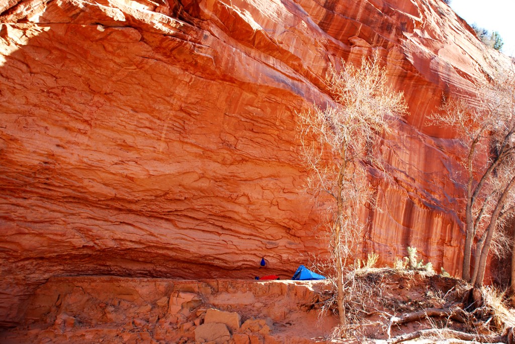 A small blue tent sits on a ledge below a sweeping orange wall streaked with brown.