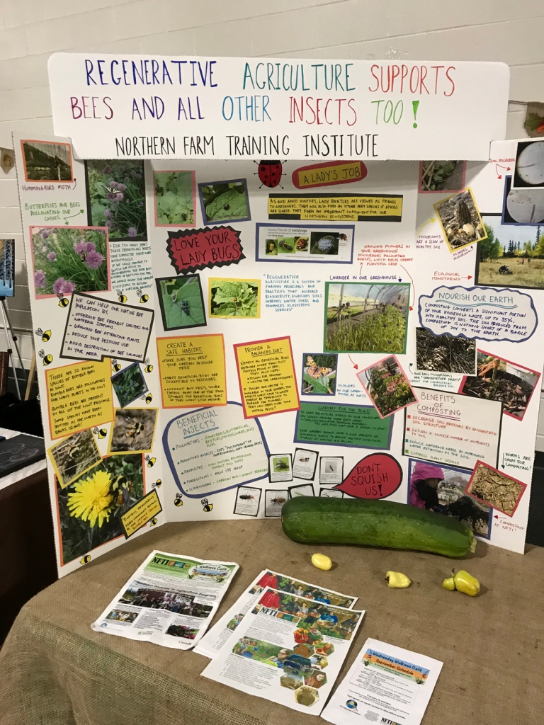 A poster with information and pictures sits on a table, with a cucumber and peppers and handouts sitting on the table.