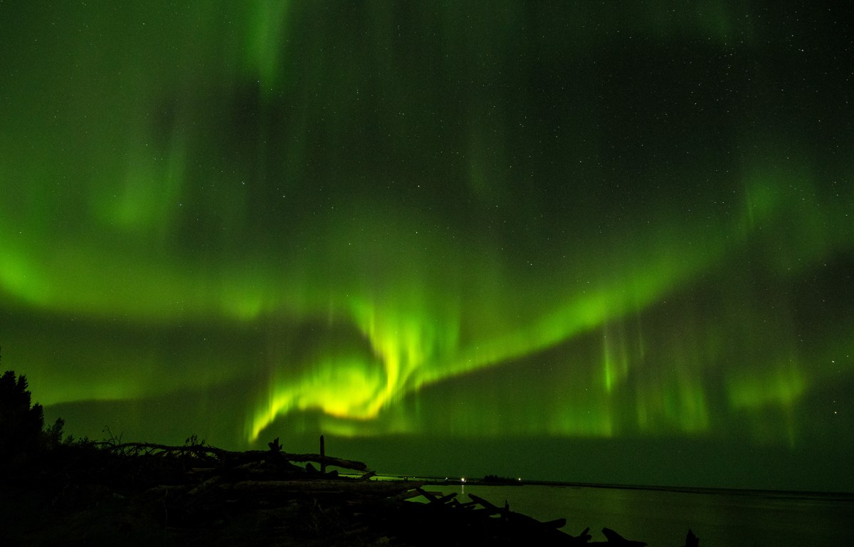 Hay River to Mackenzie Bison&nbsp;Sanctuary