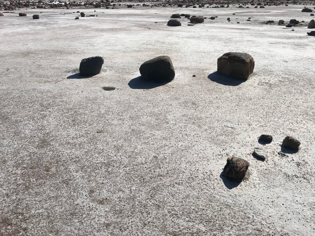Dark rocks are randomly strewn across the whitish salt plain. 